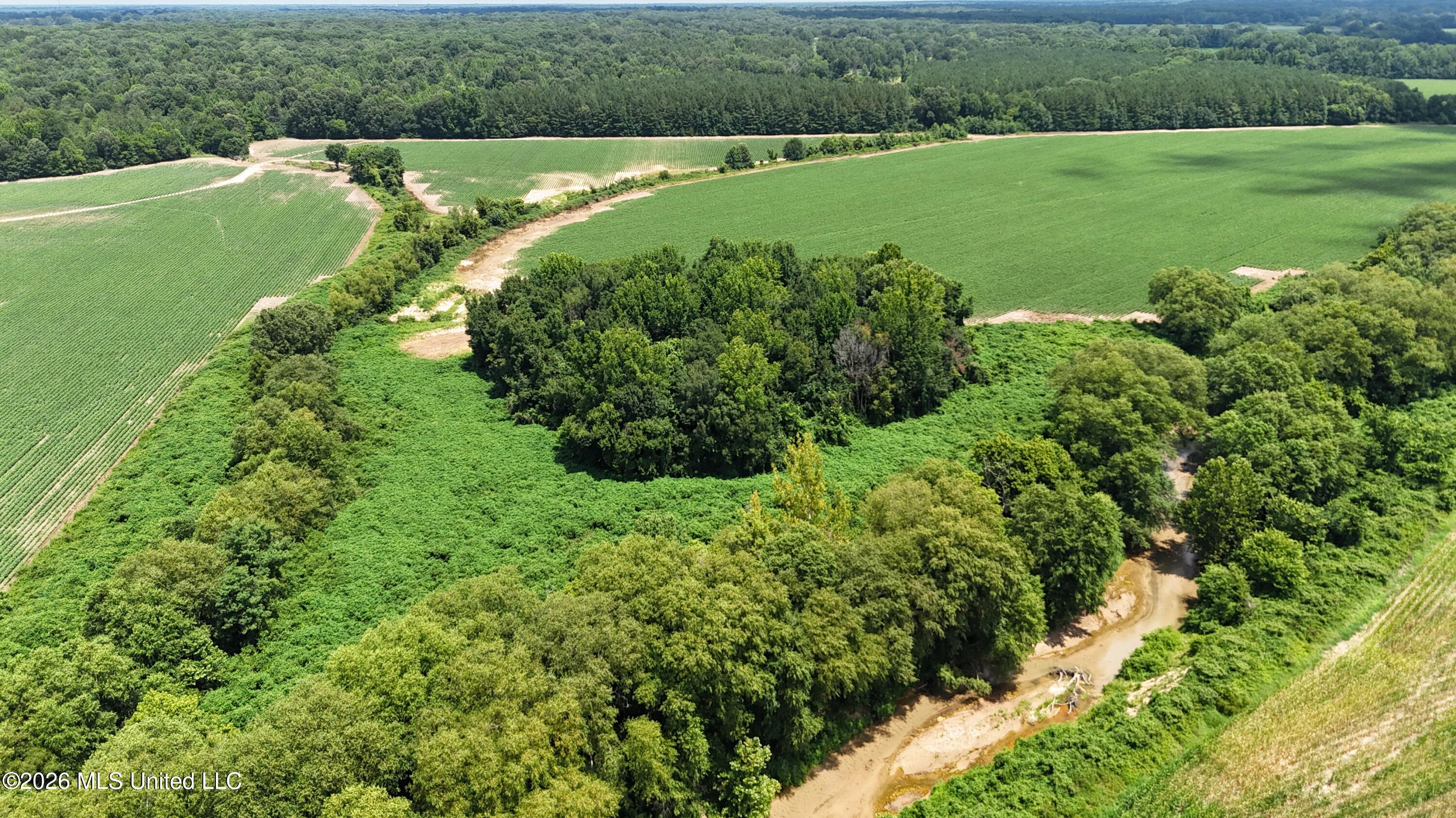 Barr Road Coldwater, MS 38618 - Photo 17 of 19 DJI_20260706120957_0062_D