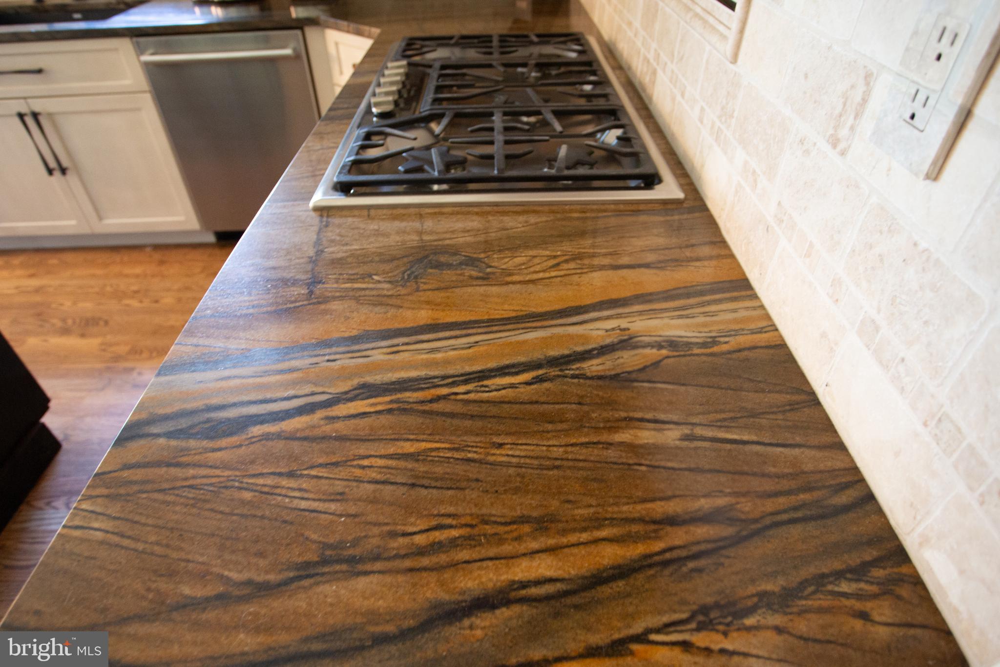 3879 Charter Club Drive Doylestown, PA 18902 - Photo 17 of 54 Detail of unique level 7 granite