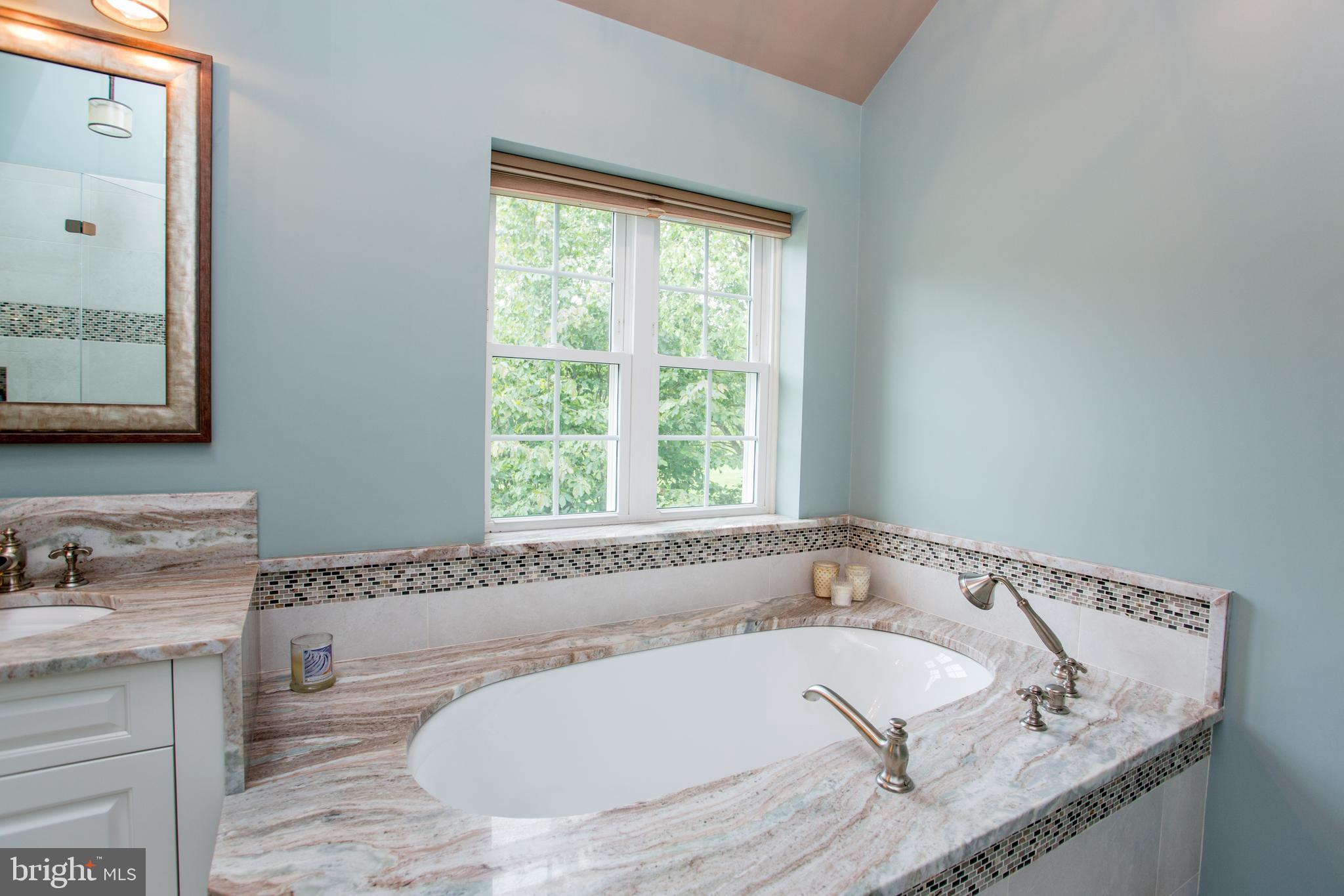 3879 Charter Club Drive Doylestown, PA 18902 - Photo 34 of 54 Large soaking tub