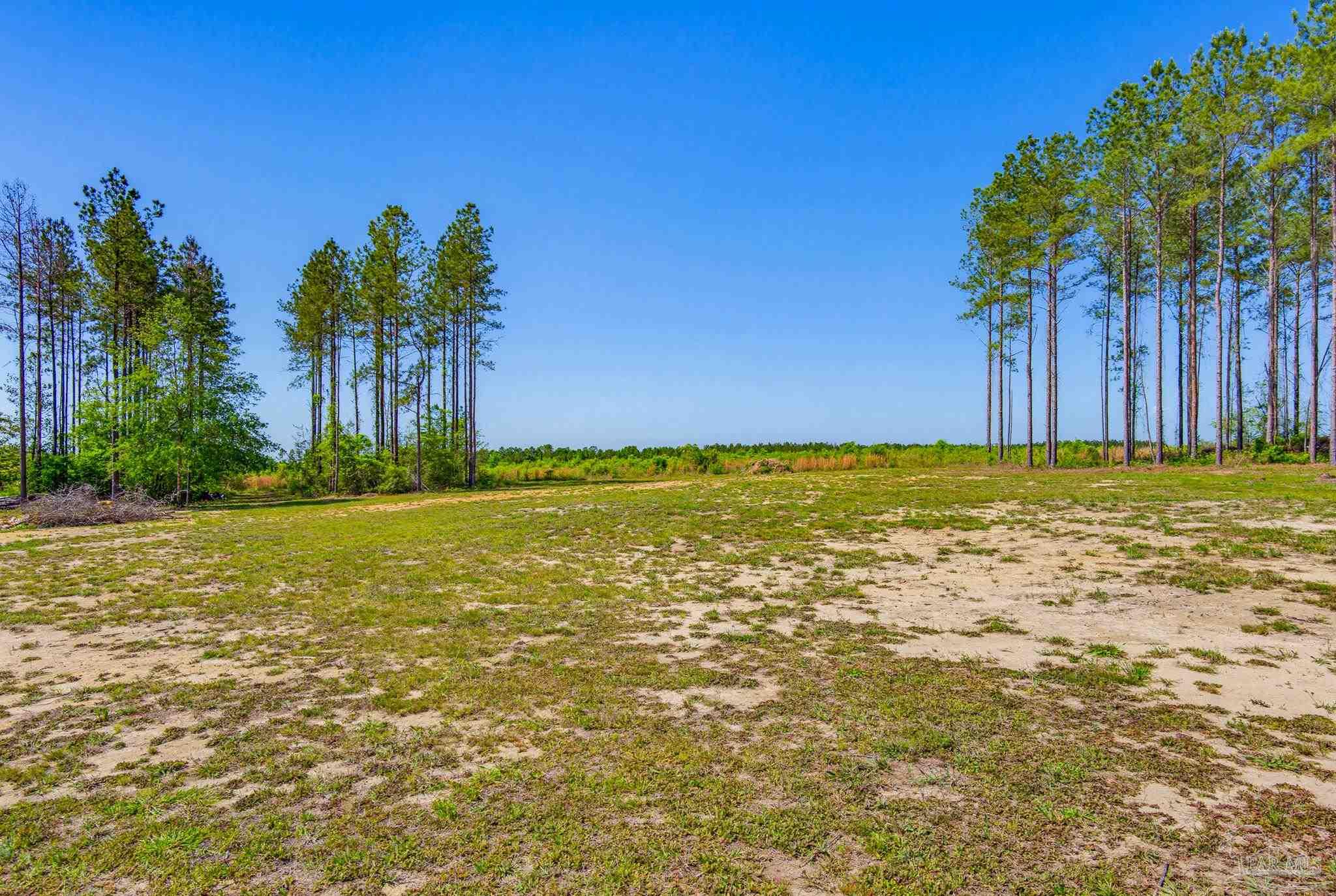 1895 Pineview Church Road Jay, FL 32565 - Photo 49 of 51