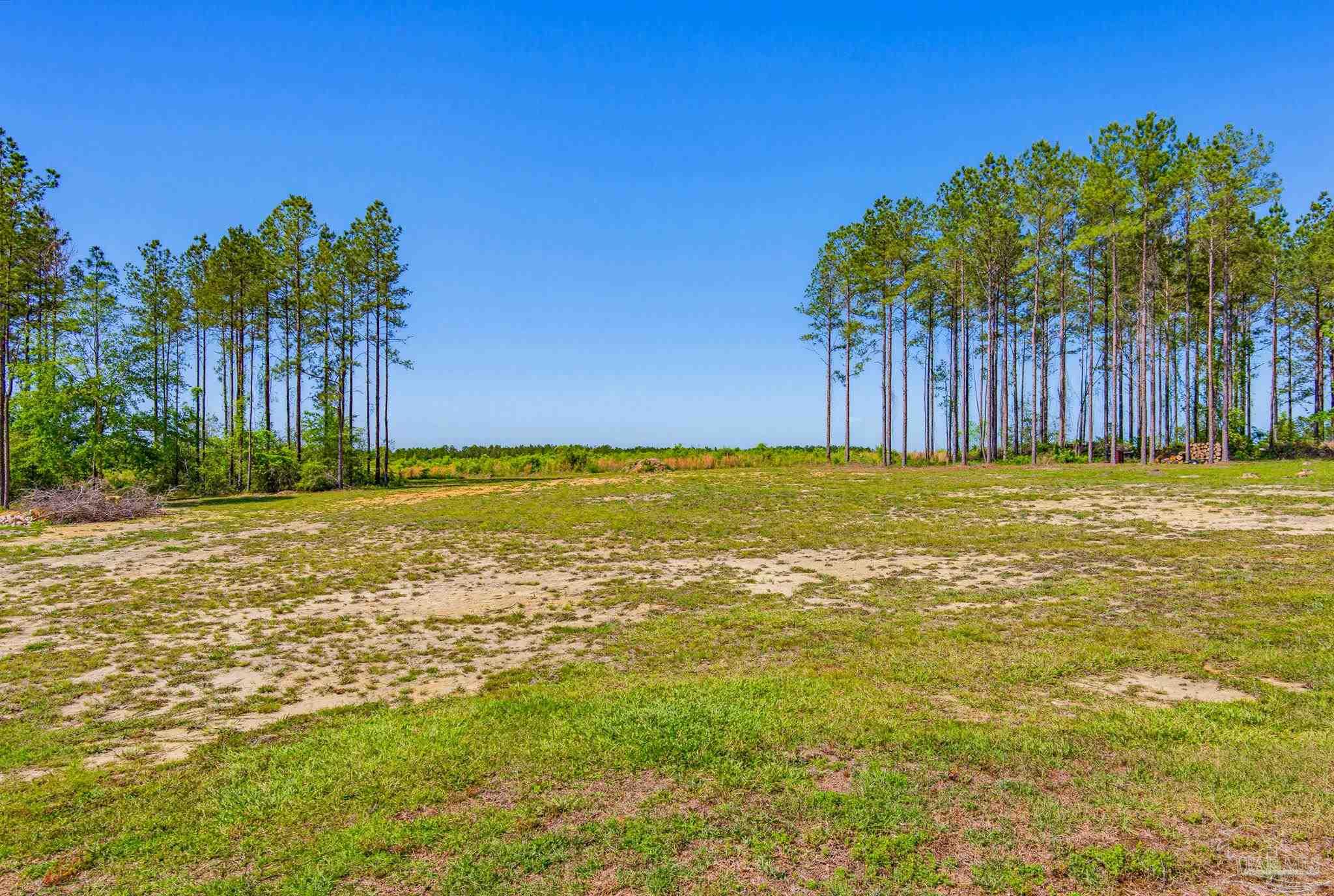 1895 Pineview Church Road Jay, FL 32565 - Photo 50 of 51