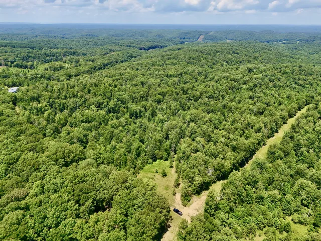 a view of a big yard with lots of green space