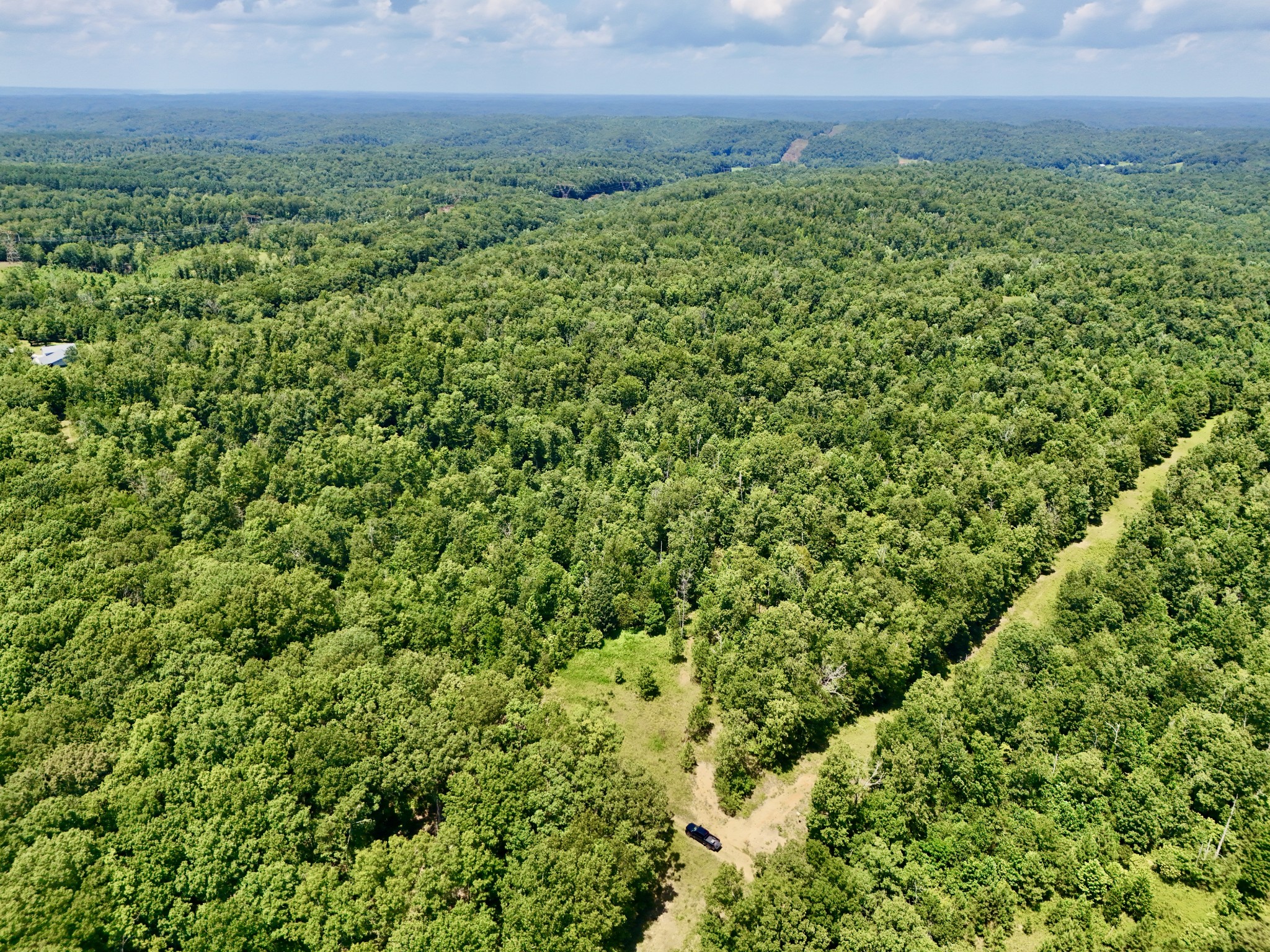 a view of a big yard with lots of green space