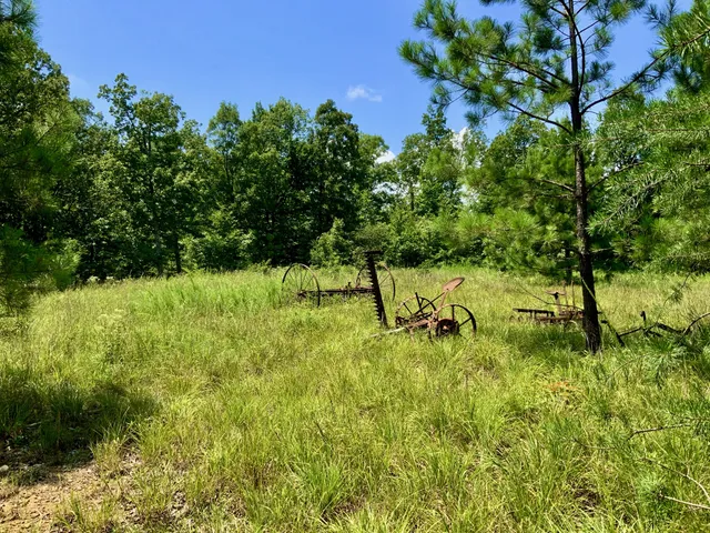 a view of swimming pool from a yard