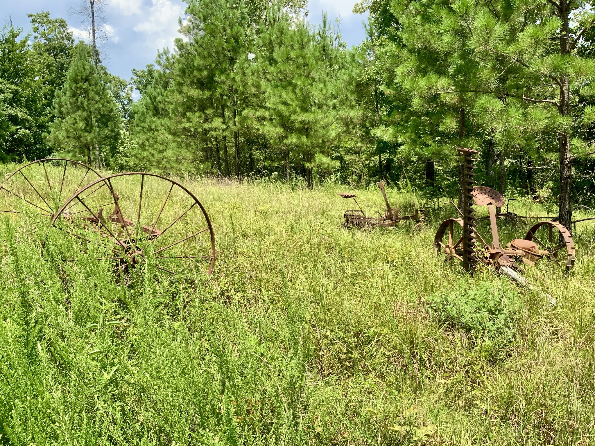 0 Bear Creek Road Waverly, TN 37185 - Photo 14 of 20 a view of a yard with yellow house