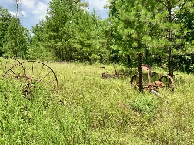 a view of swimming pool from a lake view