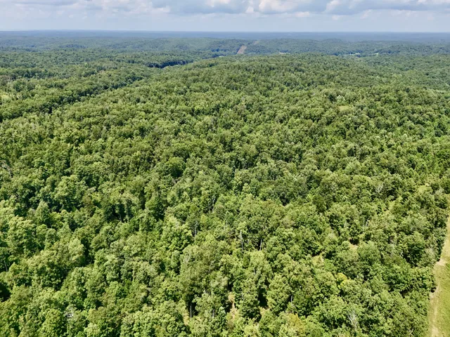 a view of a big yard with lots of green space