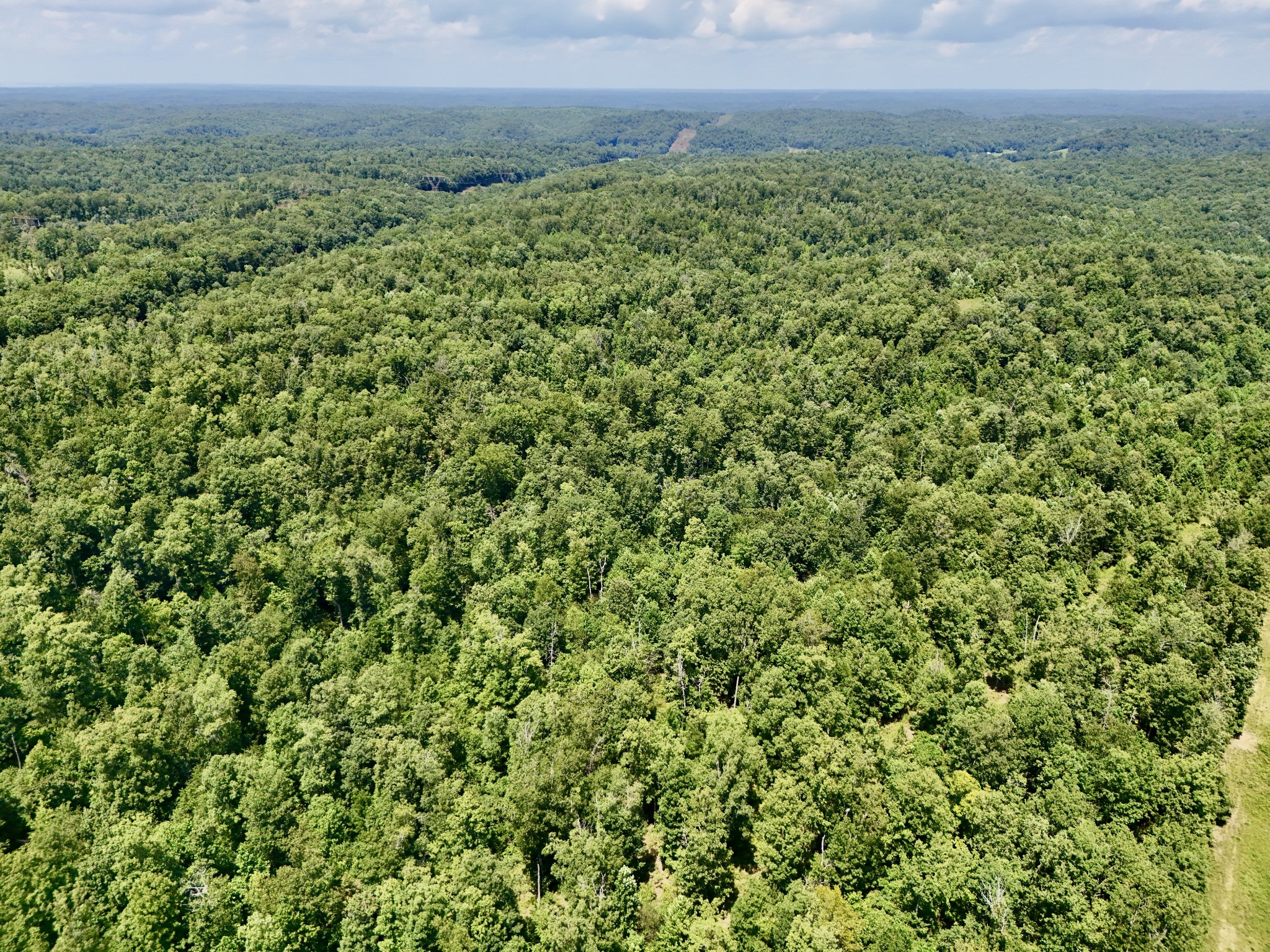 0 Bear Creek Road Waverly, TN 37185 - Photo 5 of 20 a view of a big yard with lots of green space