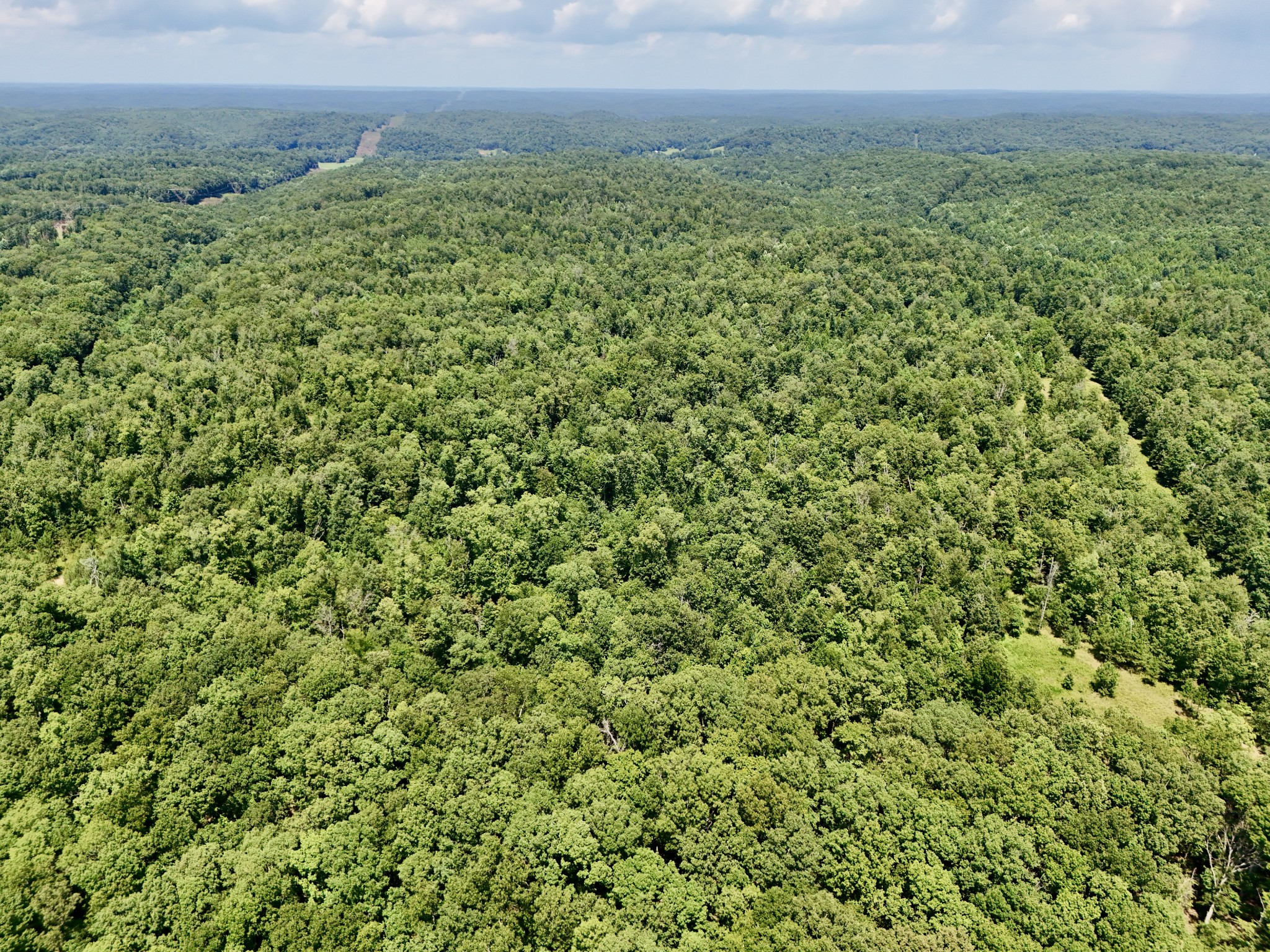 0 Bear Creek Road Waverly, TN 37185 - Photo 9 of 20 a view of a green field with lots of bushes