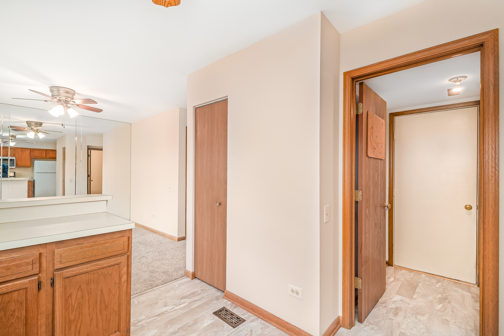 163 North Oltendorf Road Streamwood, IL 60107 - Photo 14 of 25