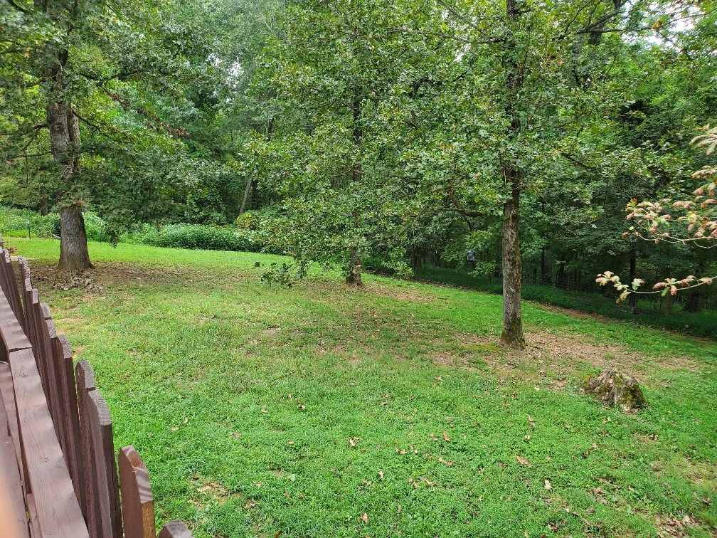 143 Jerry Smith Road Indian Mound, TN 37079 - Photo 46 of 49 Gallery Image 46