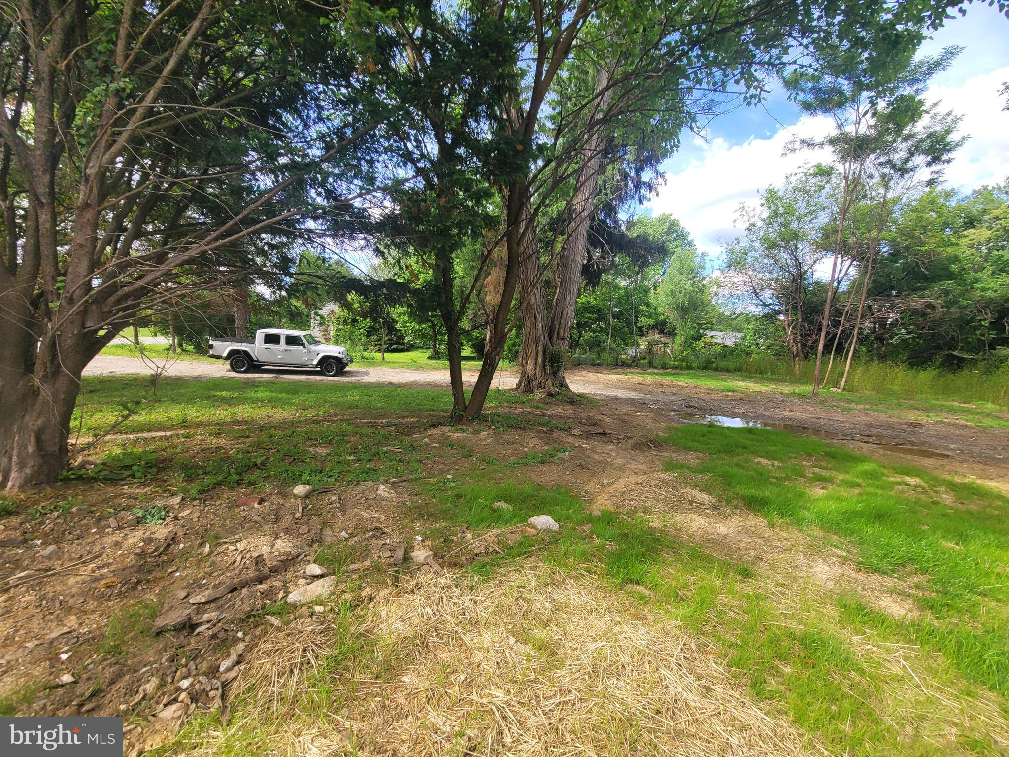 1450 Appleton Road Elkton, MD 21921 - Photo 2 of 7 a view of a yard with a tree