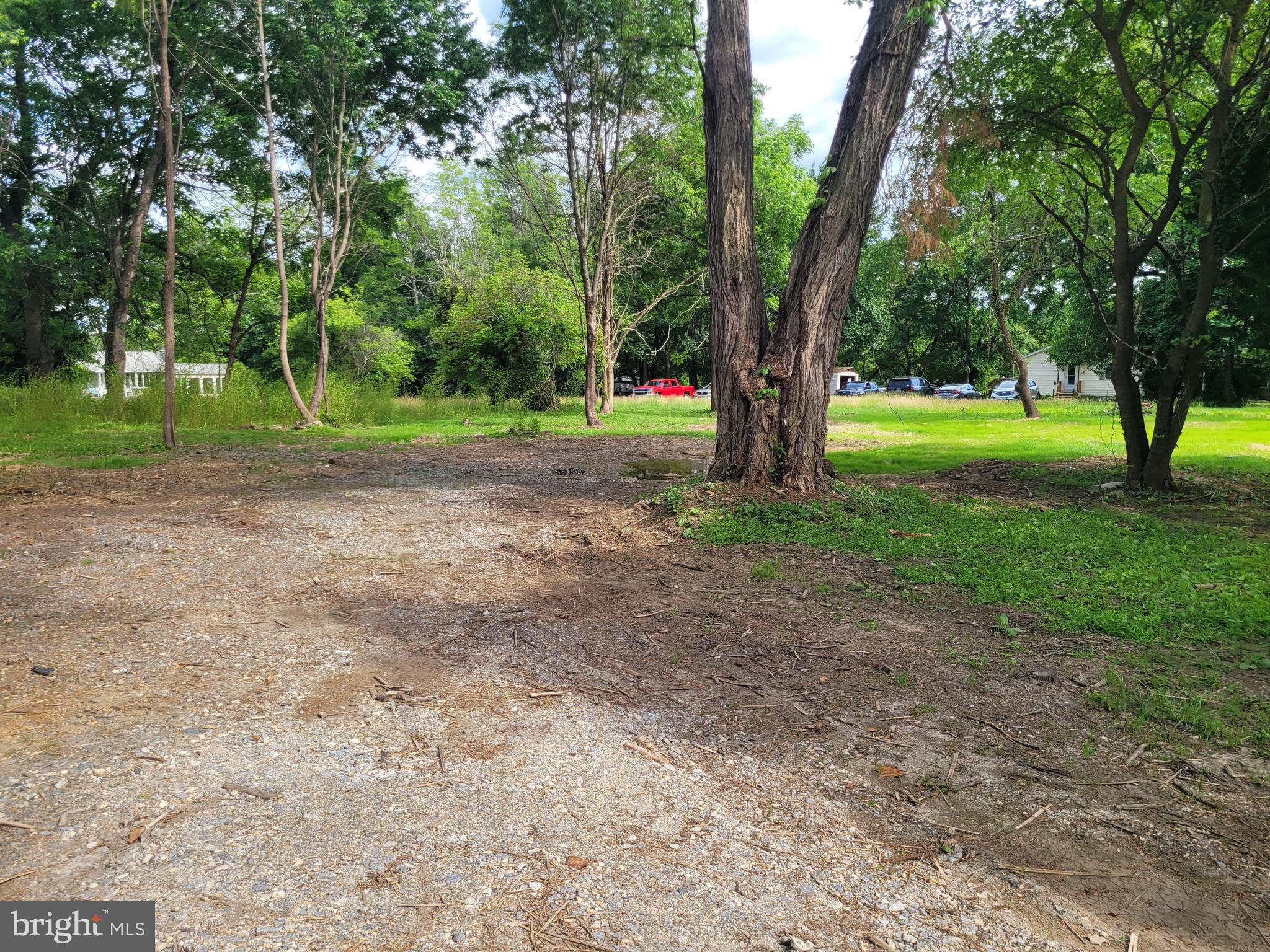 1450 Appleton Road Elkton, MD 21921 - Photo 3 of 7 a view of a yard with large trees
