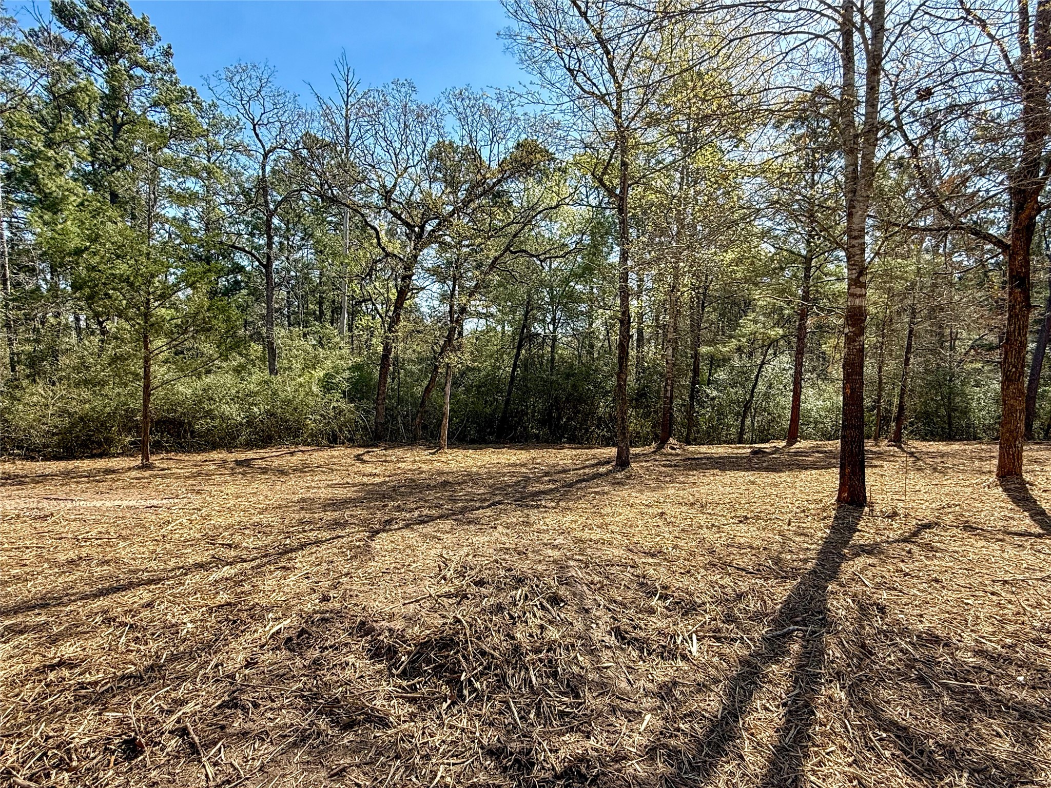 Tbd Round Prairie Road Huntsville, TX 77320 - Photo 1 of 25
