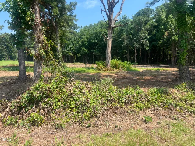 a view of a yard with tree s