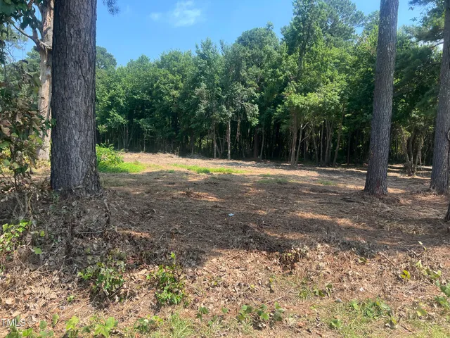 a view of outdoor space with trees