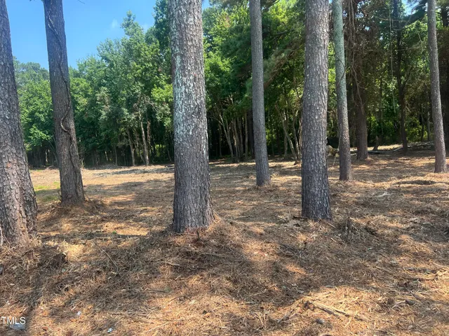 a view of a tree in the middle of a yard