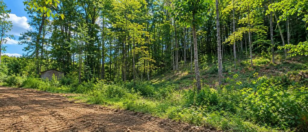36-acres Baptist Valley Road, Unit 67 Cedar Bluff, VA 24609 - Photo 13 of 42 Gallery Image 13