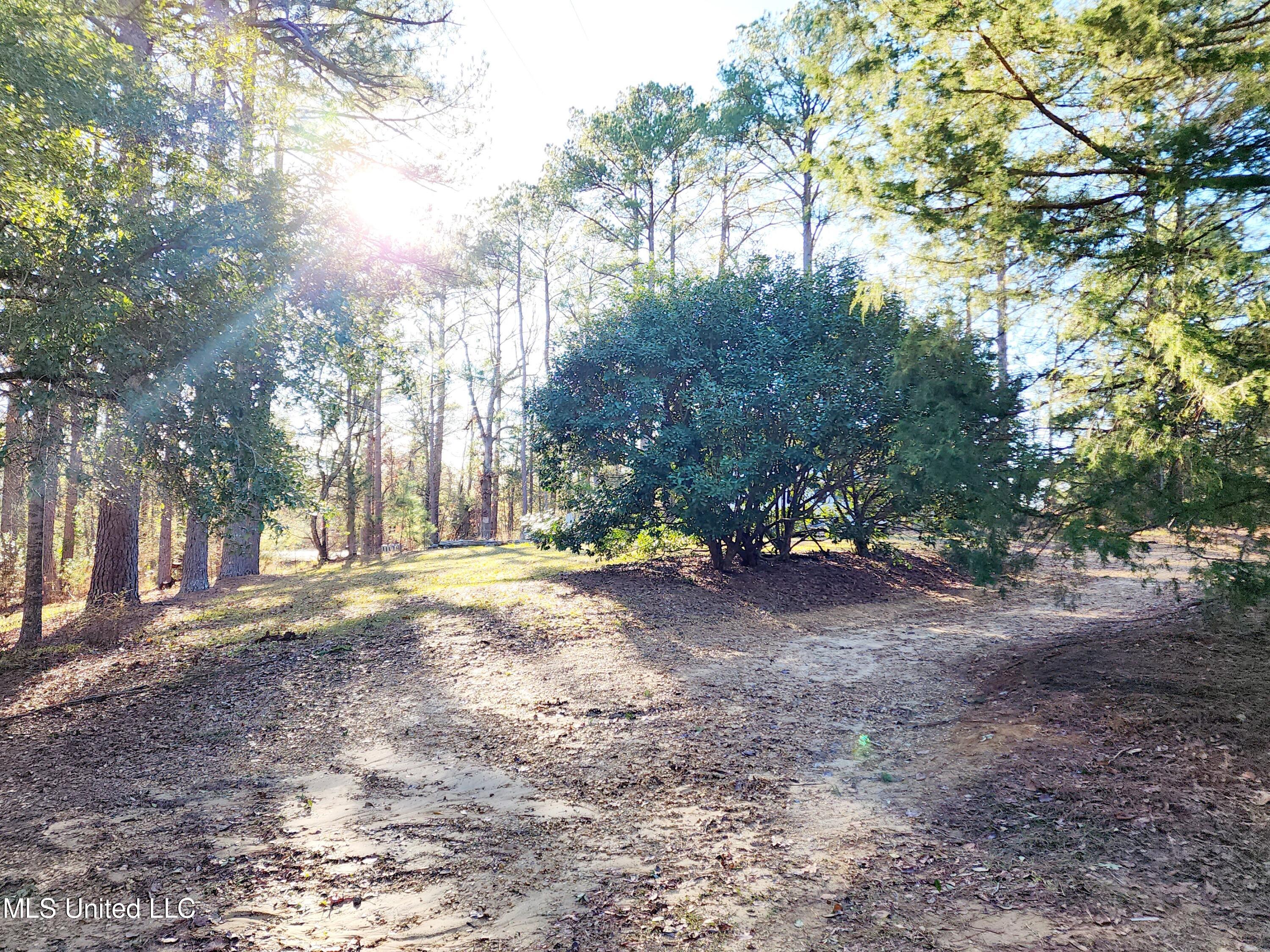 1621 Highway 469 South Florence, MS 39073 - Photo 22 of 26 20240110_151045