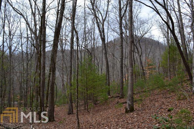 0 Cat Gap Road Clayton, GA 30525 - Photo 1 of 1 Gallery Image 1