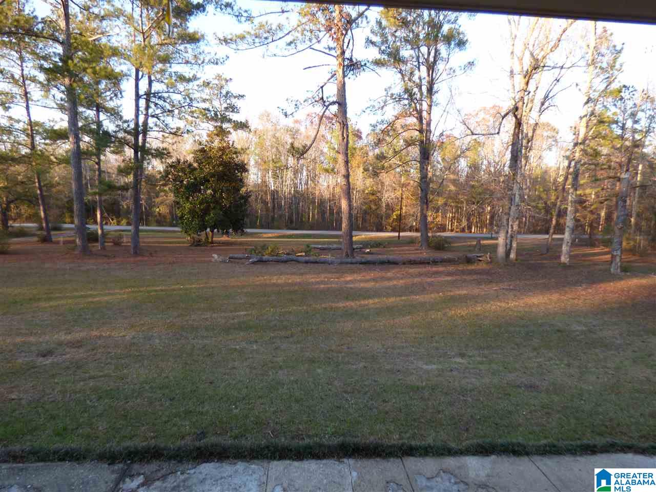 142 County Road 448 Clanton, AL 35046 - Photo 12 of 13