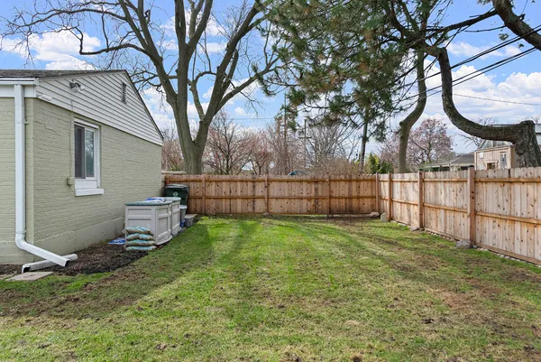 a view of backyard with tree