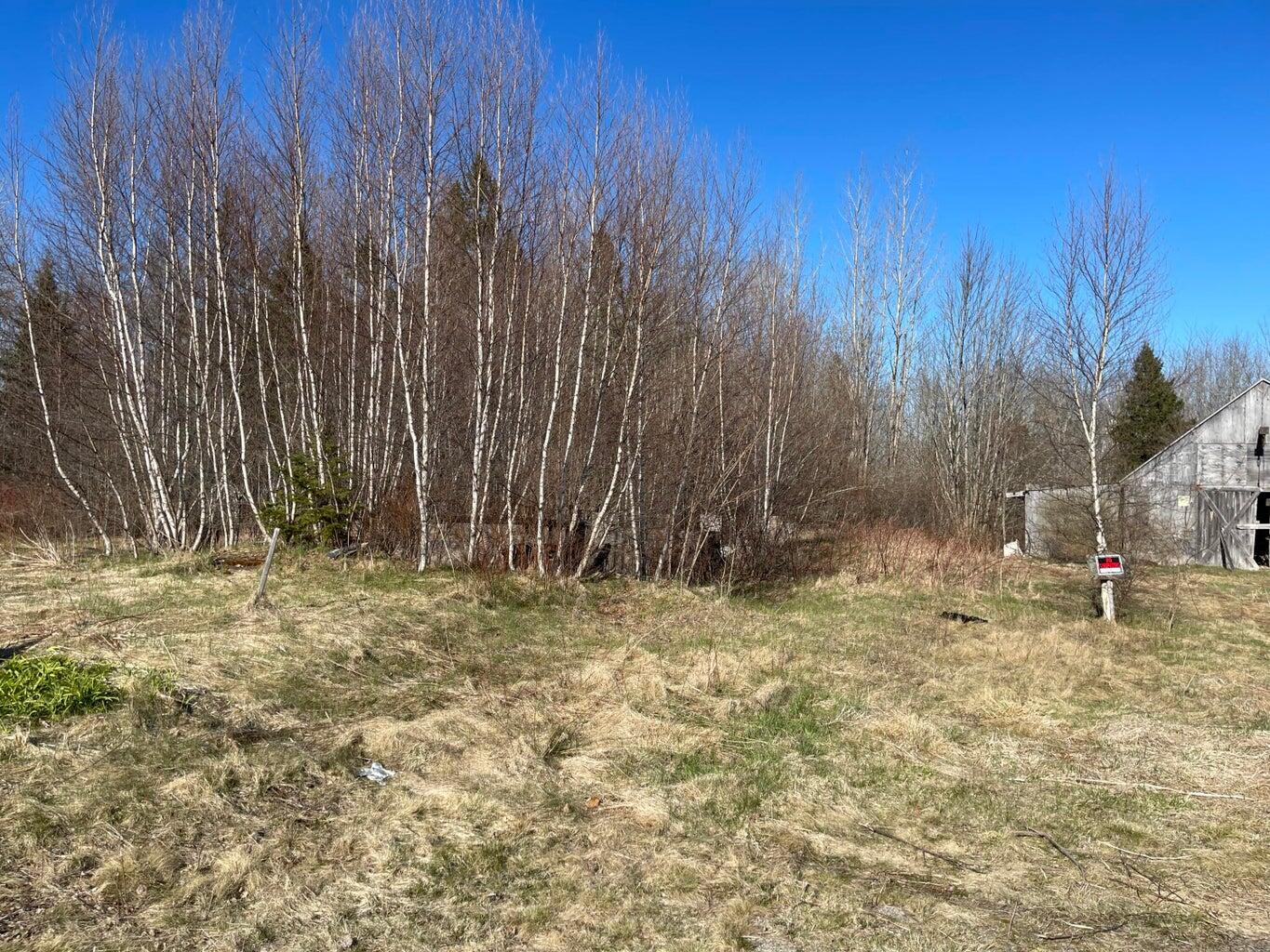 348 Marion Sta Road Dennysville, ME 04628 - Photo 4 of 16 4