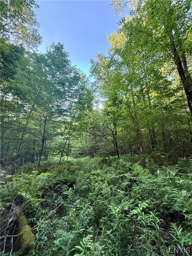 9191 Furman Mills Road Brookfield, NY 13460 - Photo 21 of 30