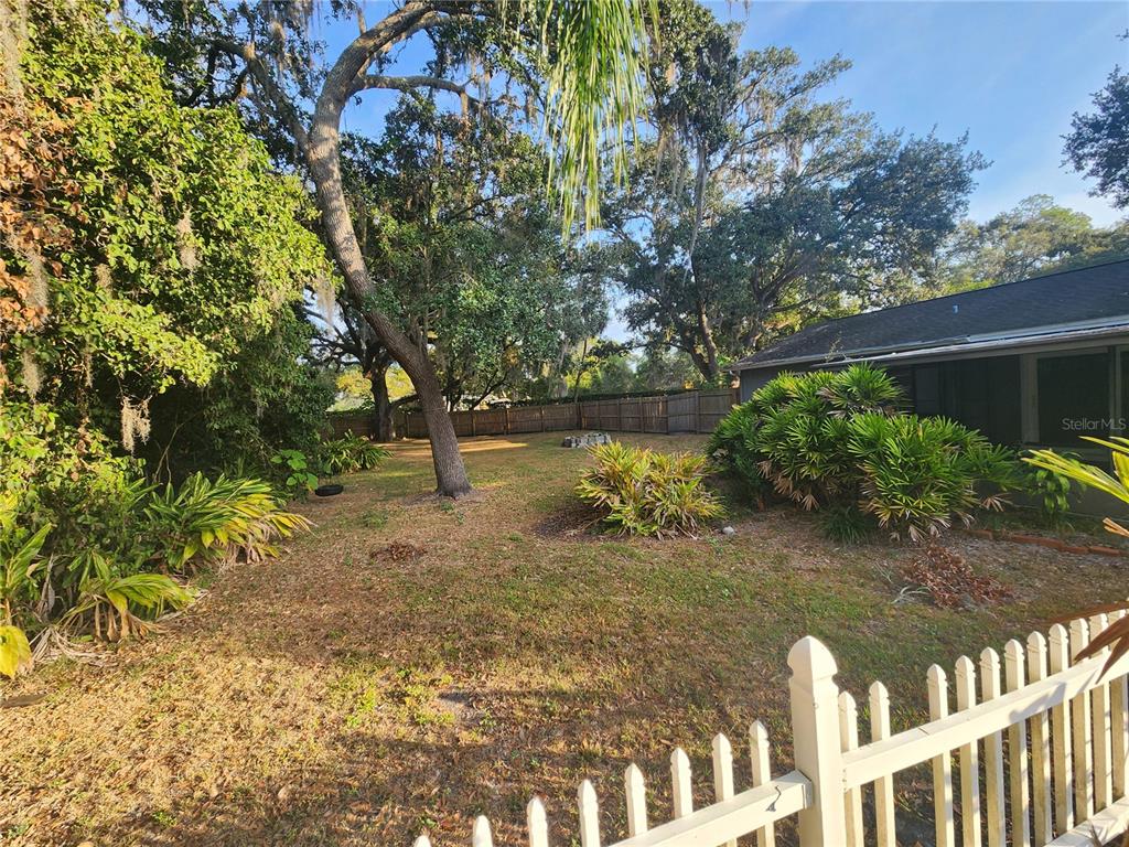 820 Crenshaw Lake Road Lutz, FL 33548 - Photo 41 of 48 a view of a yard with plants and trees