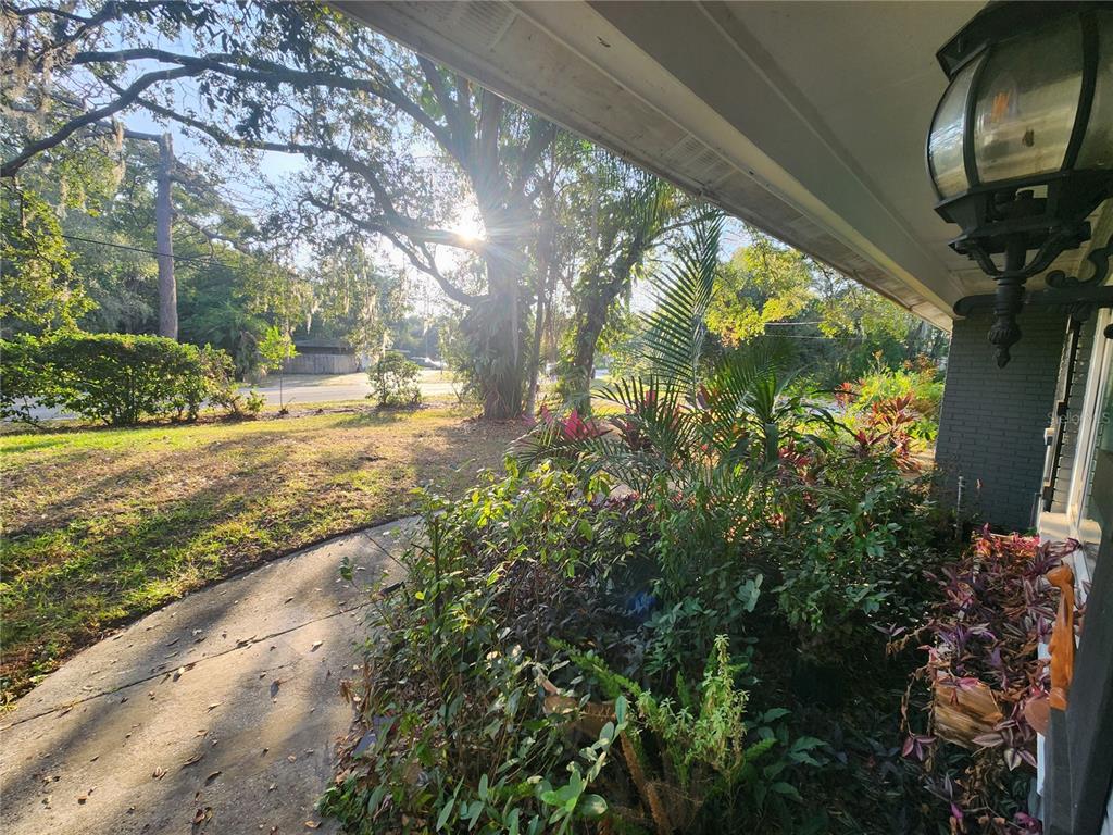 820 Crenshaw Lake Road Lutz, FL 33548 - Photo 44 of 48