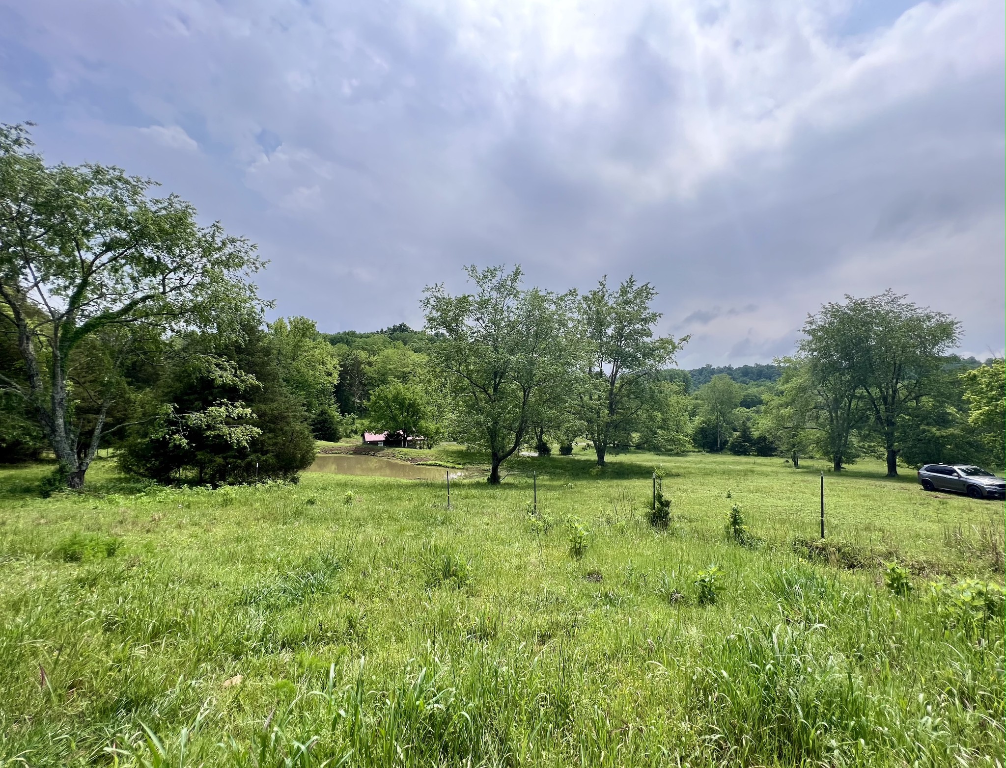 2040 Ball Hollow Road Pulaski, TN 38478 - Photo 2 of 42 Gallery Image 2