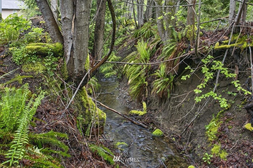 501 Maple Grove Road Port Angeles, WA 98363 - Photo 23 of 23 Gallery Image 23