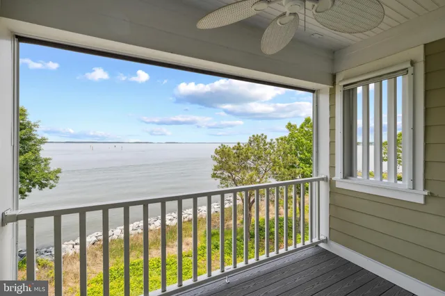 a view of a garden with a tree
