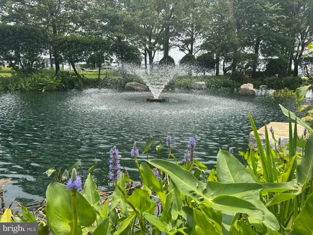 $1,395,000 | 522 Narrows Pointe Drive, Grasonville, MD 21638