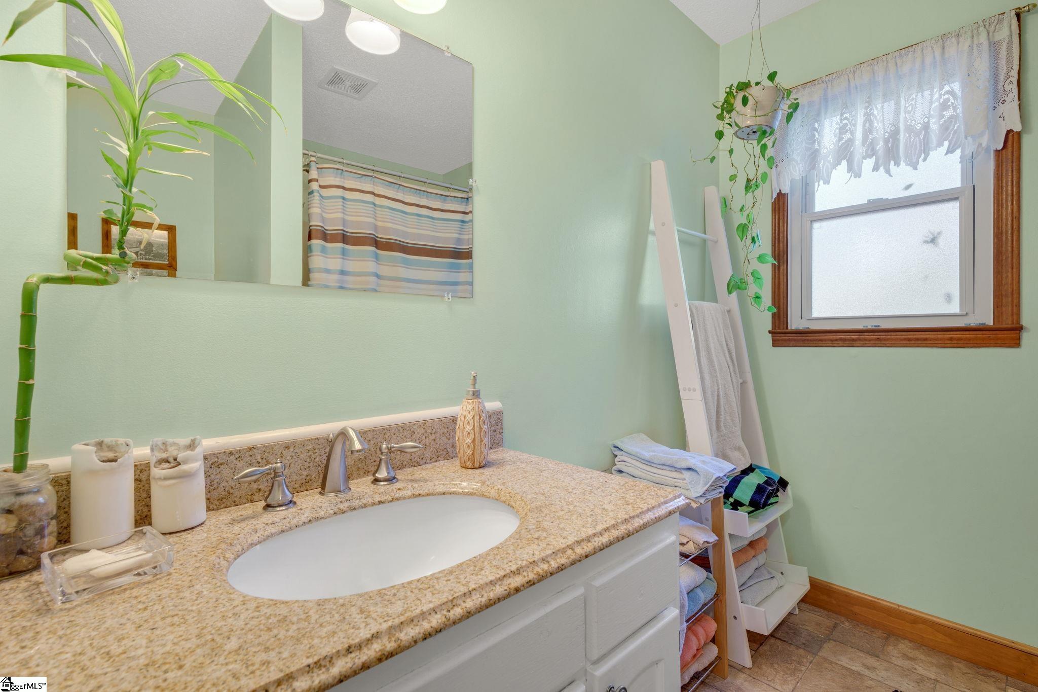 262 Belvoir Drive Pickens, SC 29671 - Photo 17 of 50