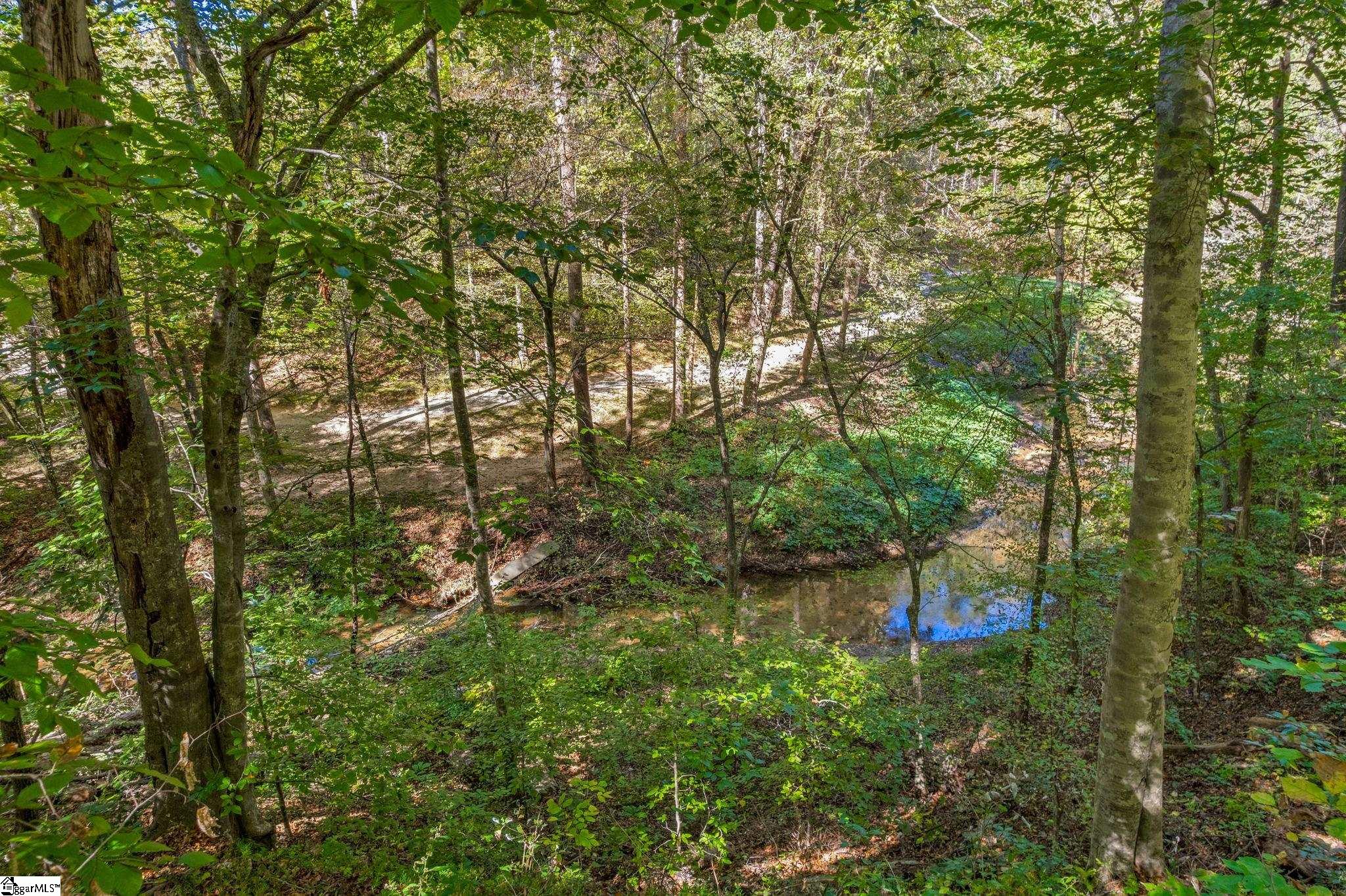 262 Belvoir Drive Pickens, SC 29671 - Photo 34 of 50