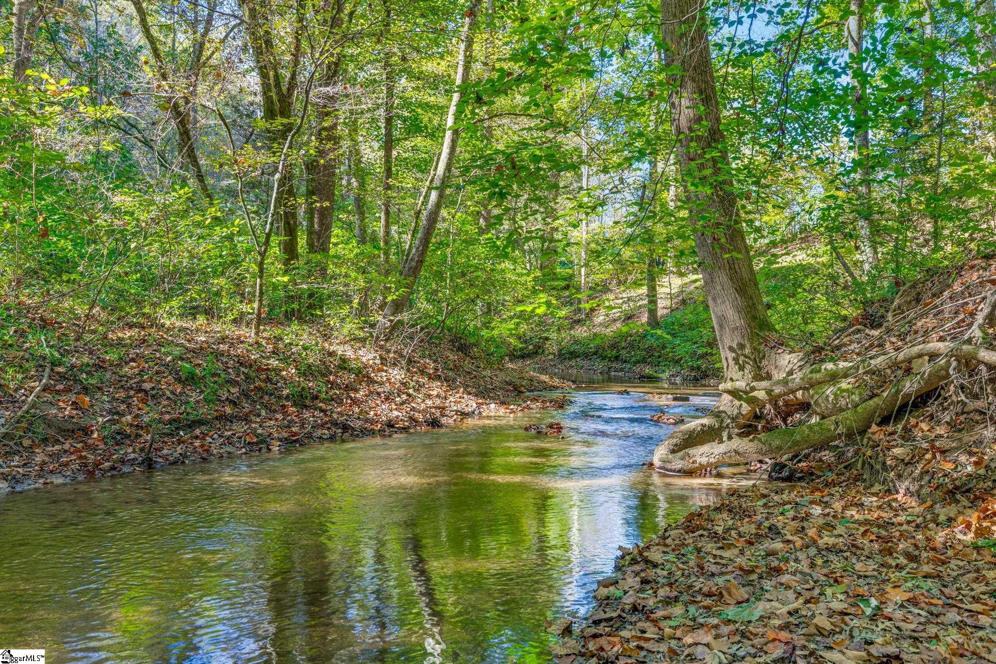 262 Belvoir Drive Pickens, SC 29671 - Photo 35 of 50