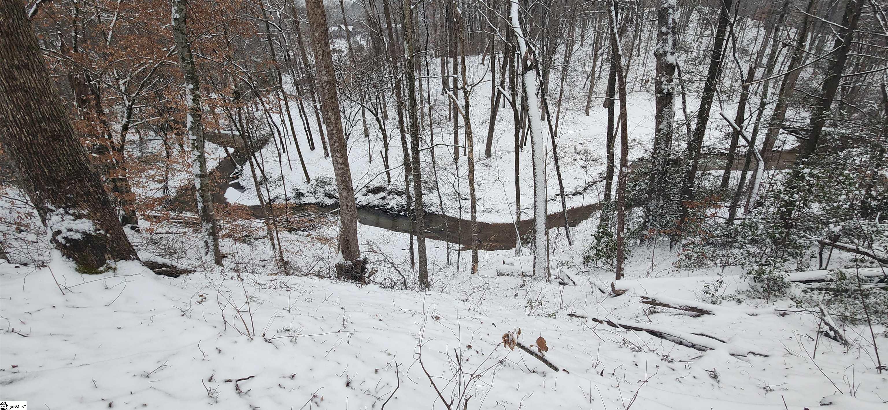 262 Belvoir Drive Pickens, SC 29671 - Photo 40 of 50