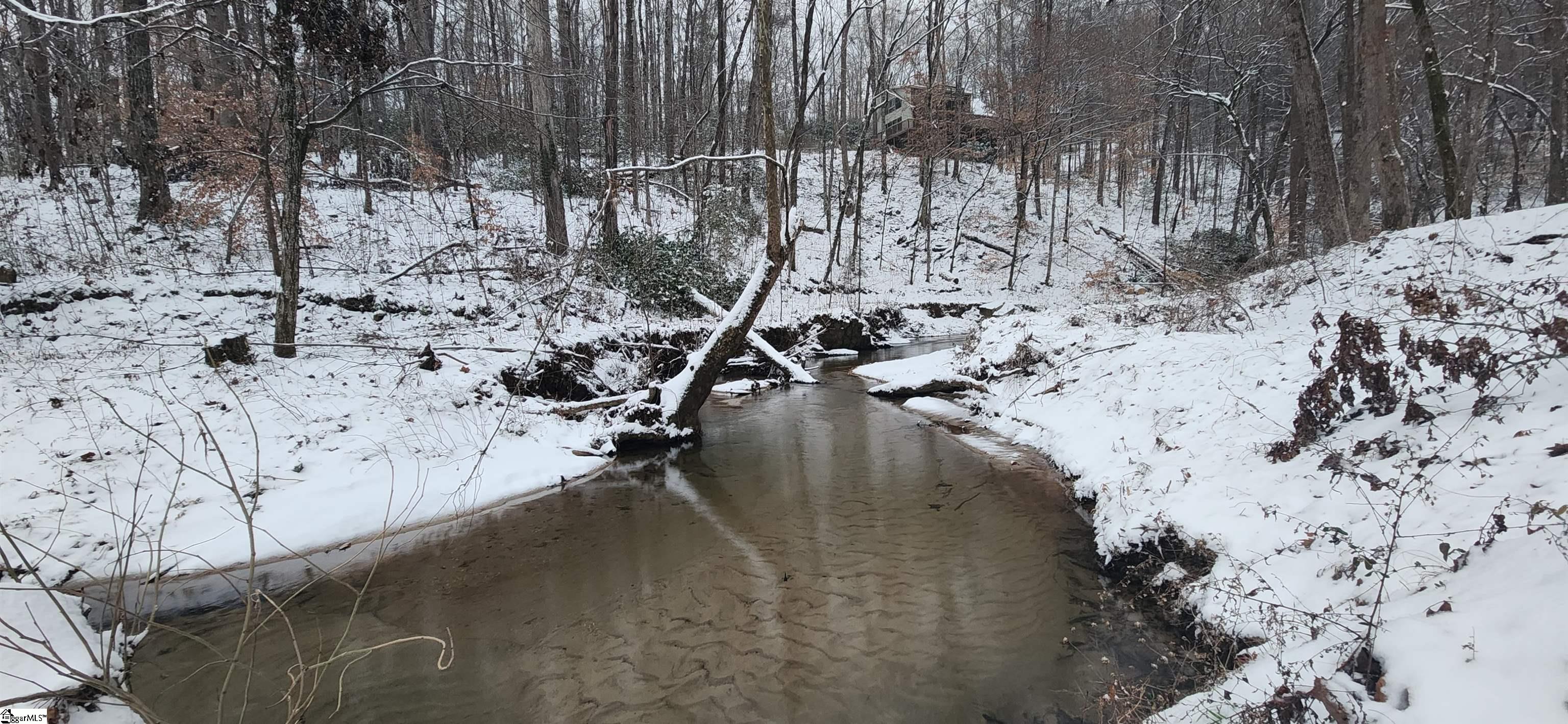 262 Belvoir Drive Pickens, SC 29671 - Photo 41 of 50