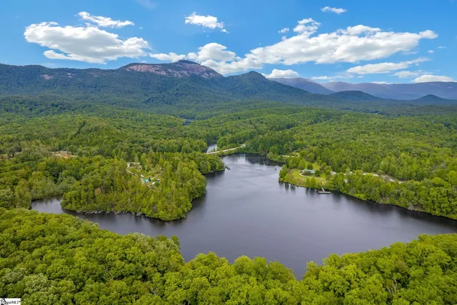 $449,000 | 262 Belvoir Drive, Pickens, SC 29671