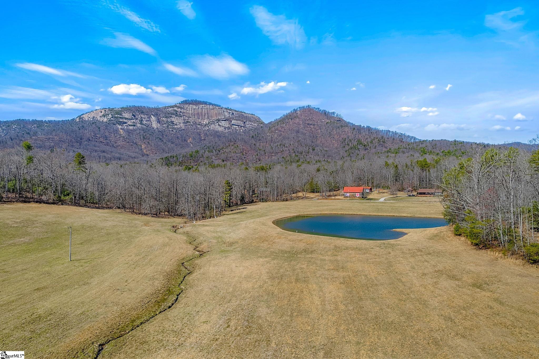 262 Belvoir Drive Pickens, SC 29671 - Photo 46 of 50