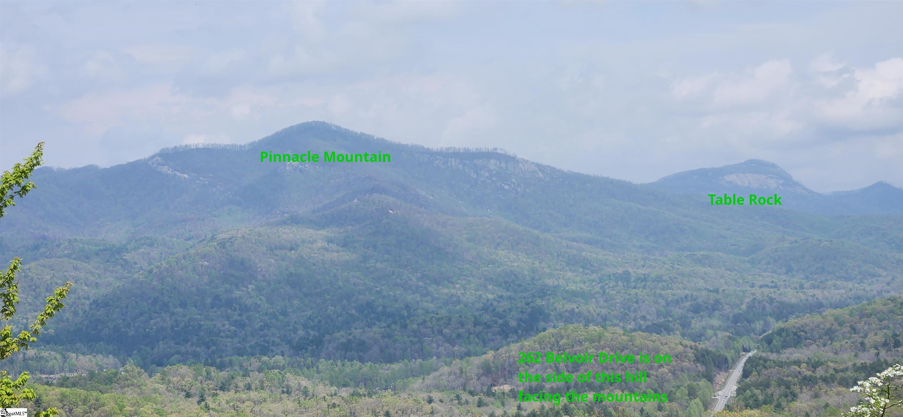 262 Belvoir Drive Pickens, SC 29671 - Photo 48 of 50