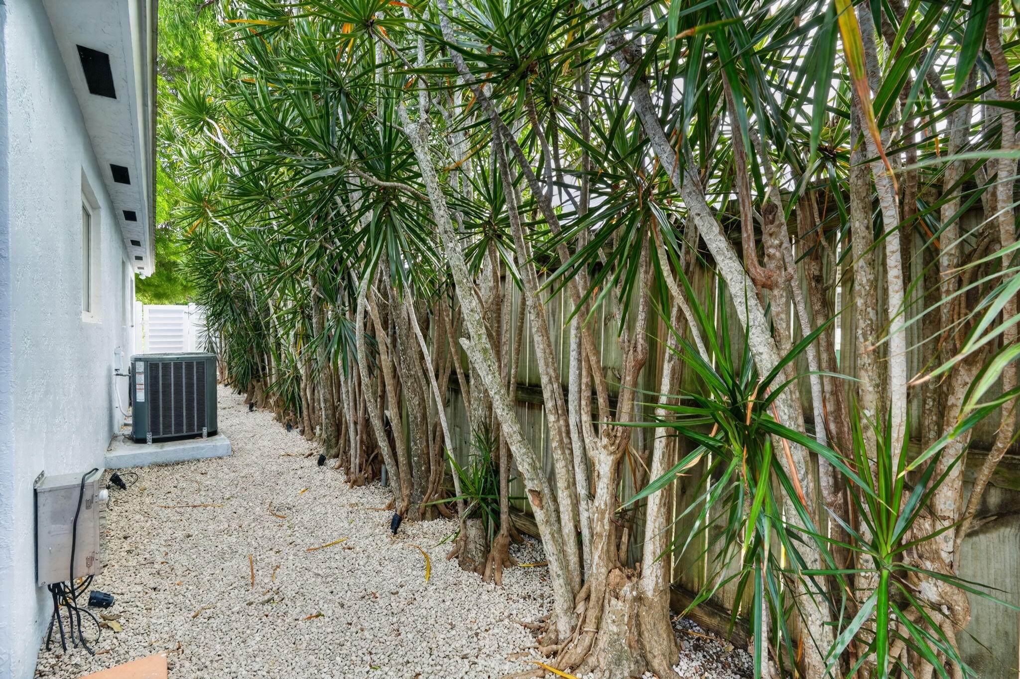 8 North End Road Key Largo, FL 33037 - Photo 30 of 39 30-web-or-mls-DSC09176