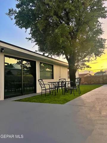 a view of a backyard with a large tree