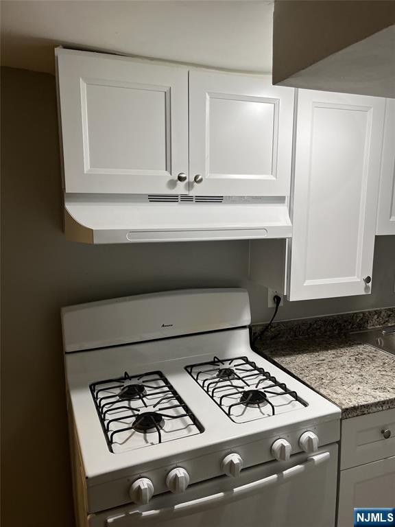 84-86 Main Street, Unit 1 Paterson, NJ 07505 - Photo 6 of 10 a close view of stove