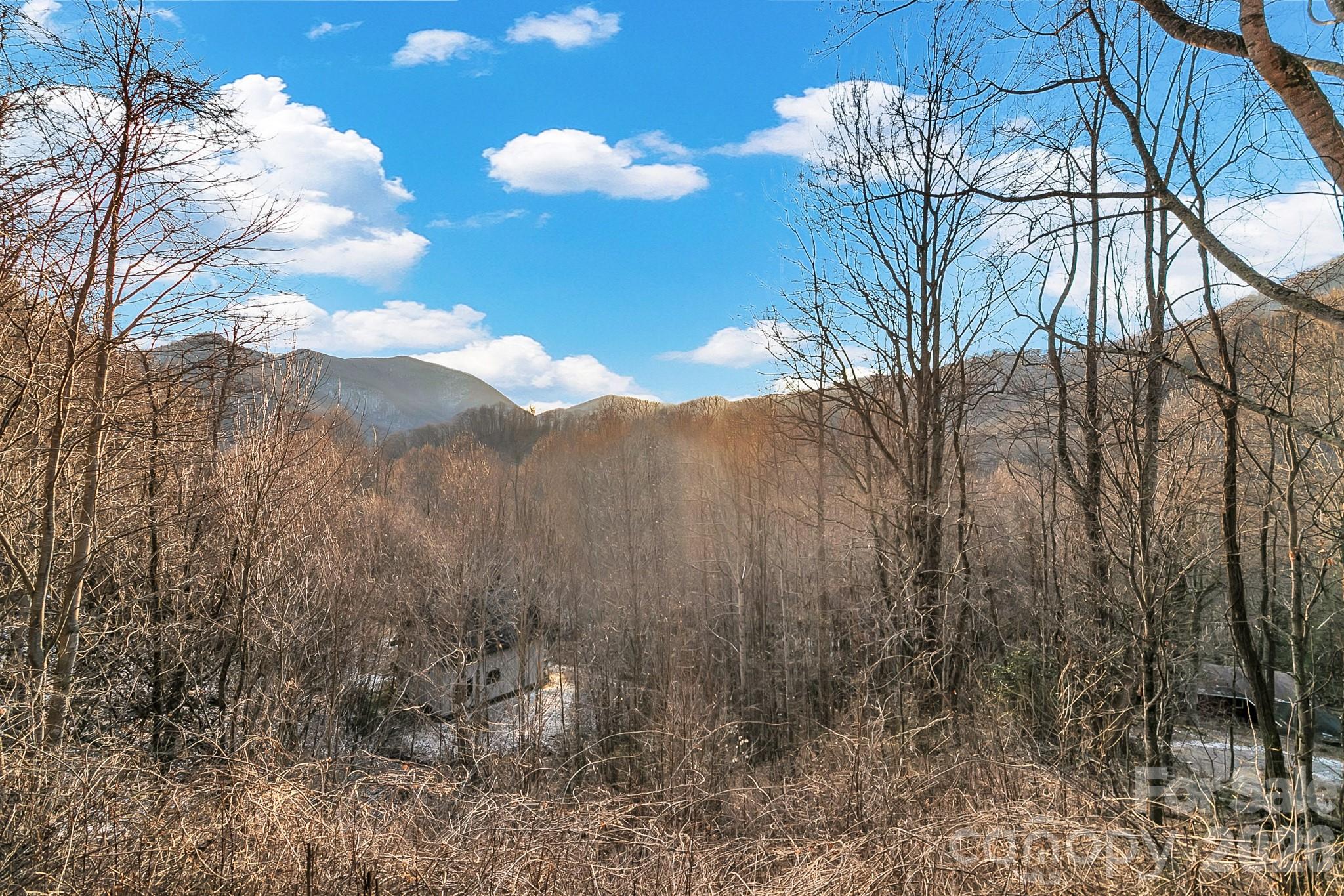 135 Pretty Ridge Maggie Valley, NC 28751 - Photo 12 of 46 a view of a tree in a yard