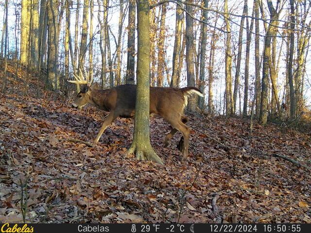 0 East Fork Road Laurelville, OH 43135 - Photo 11 of 16 12220287