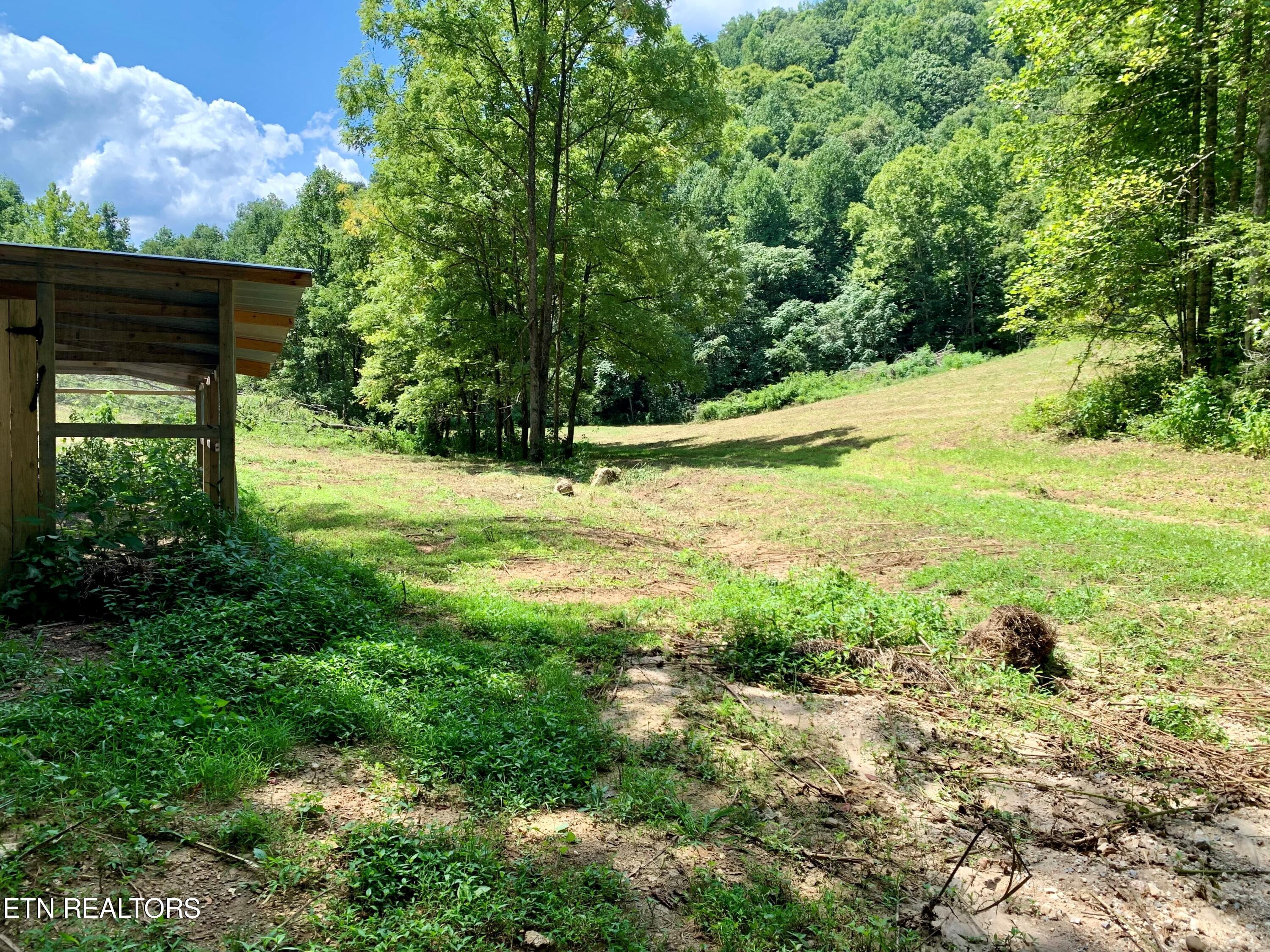 1088 Jones Ridge Road Speedwell, TN 37870 - Photo 45 of 53 4