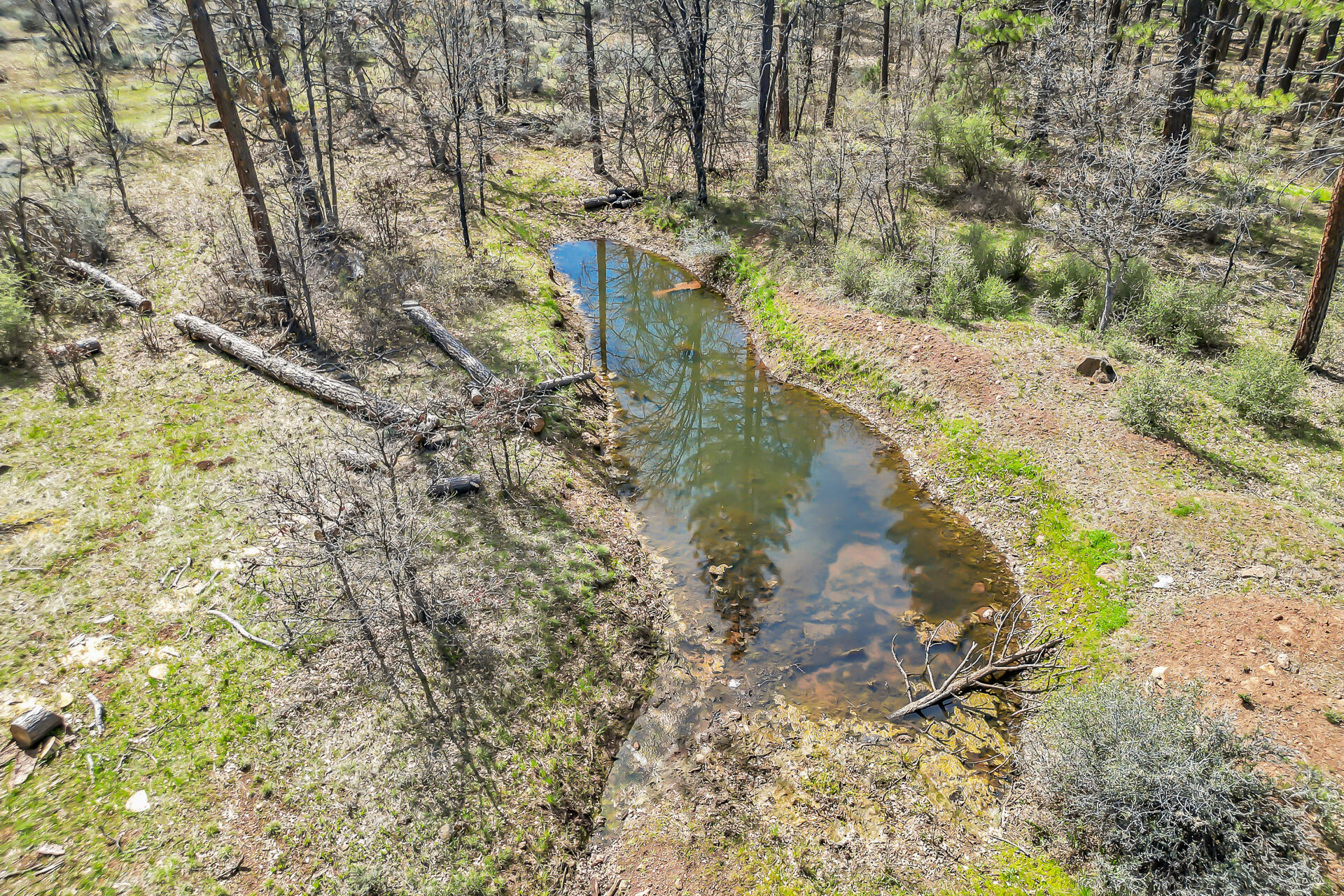 29312 Day Road McArthur, CA 96056 - Photo 12 of 52 29312DayRoad-34