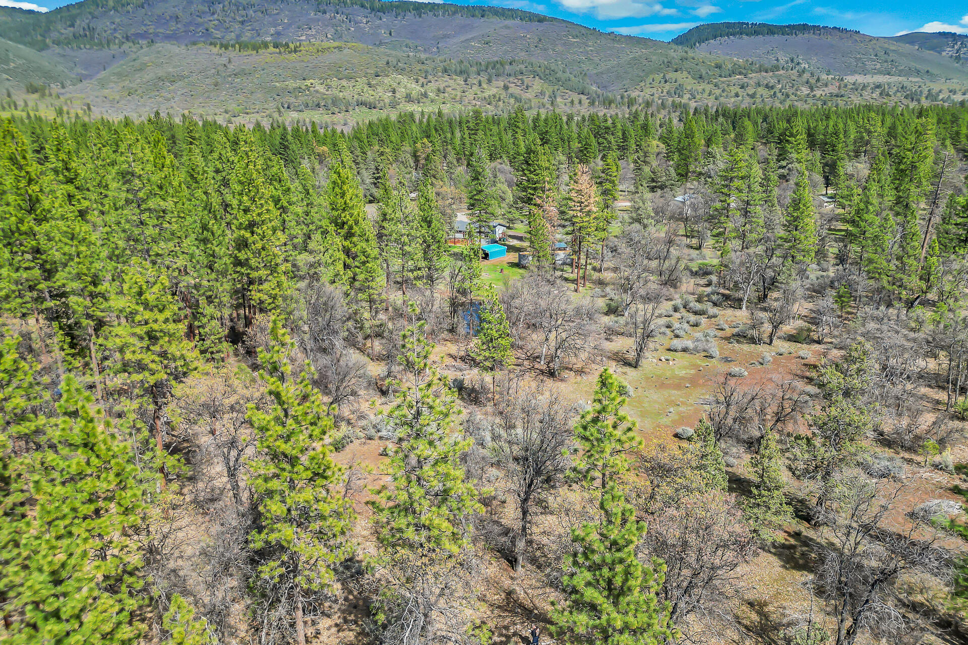 29312 Day Road McArthur, CA 96056 - Photo 10 of 52 29312DayRoad-30